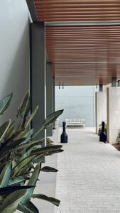 A minimalist architectural walkway with lush plants and contemporary design elements.