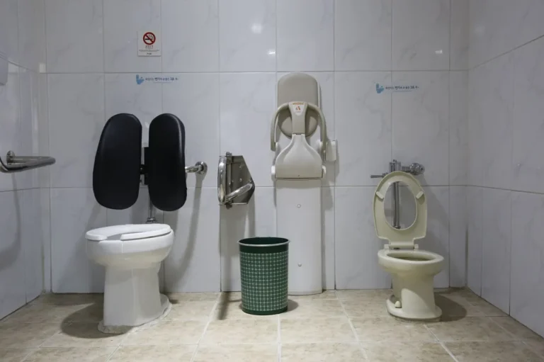 Accessible toilet with grabrails and backrest - AS 1428 accessibility fixtures from China for Australian projects
