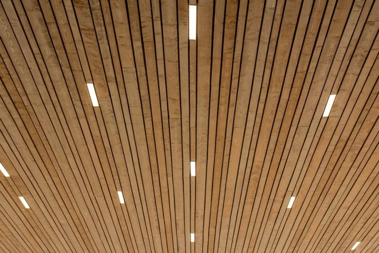Wood slat acoustic panels installed on a commercial building ceiling with linear lighting