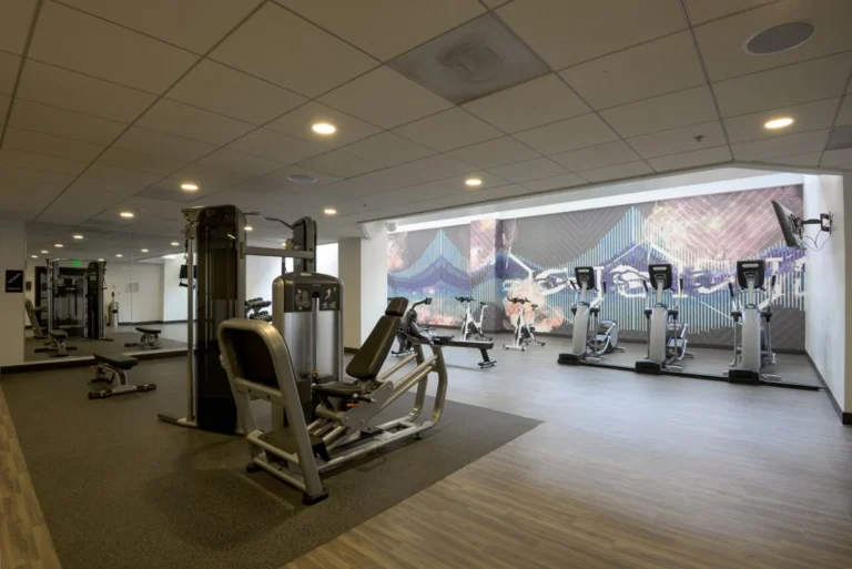 Commercial gym fitted out with selectorised strength machines and cardio equipment sourced for a project