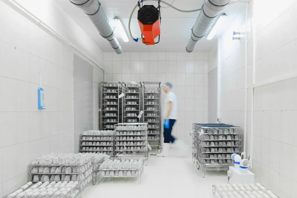 Insulated cold storage room with white panels, unit cooler and stainless steel racks for food-service projects