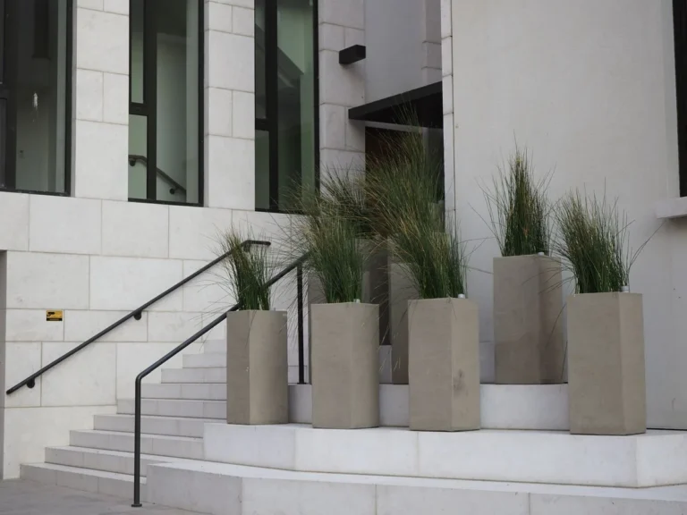 Concrete planters with ornamental grasses beside entrance steps of a stone-clad building