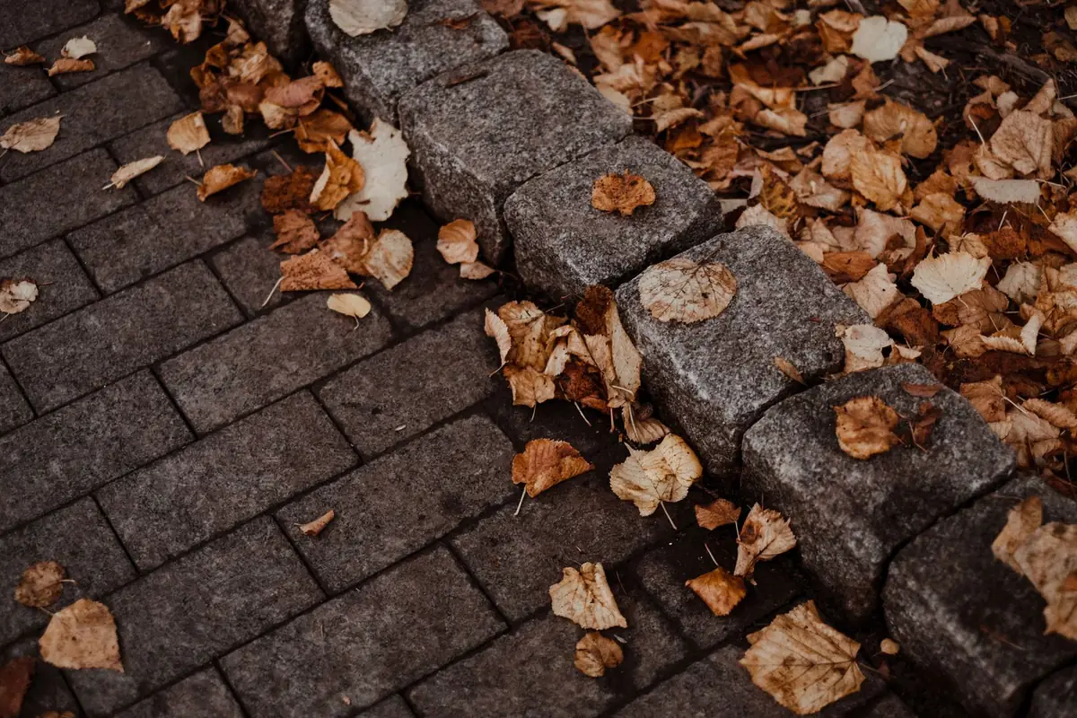 Stone kerb edging along a paved pavement with fallen leaves