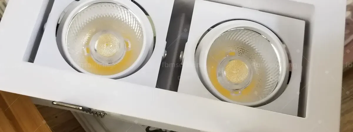 Twin LED downlight fitting checked with driver China lighting QC